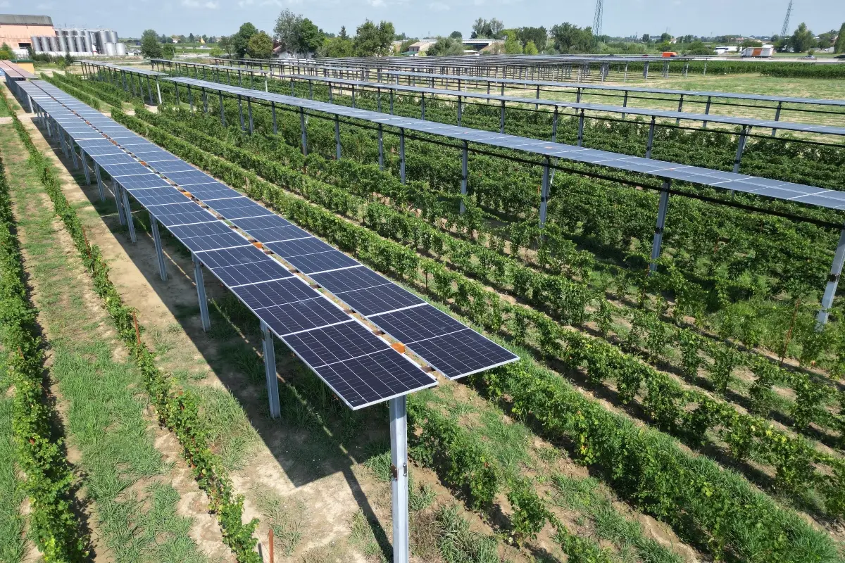 Agrivoltaico Caviro