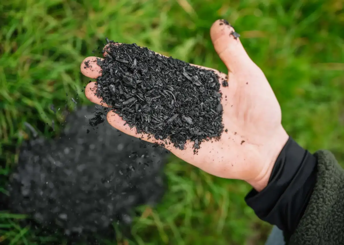 Biochar