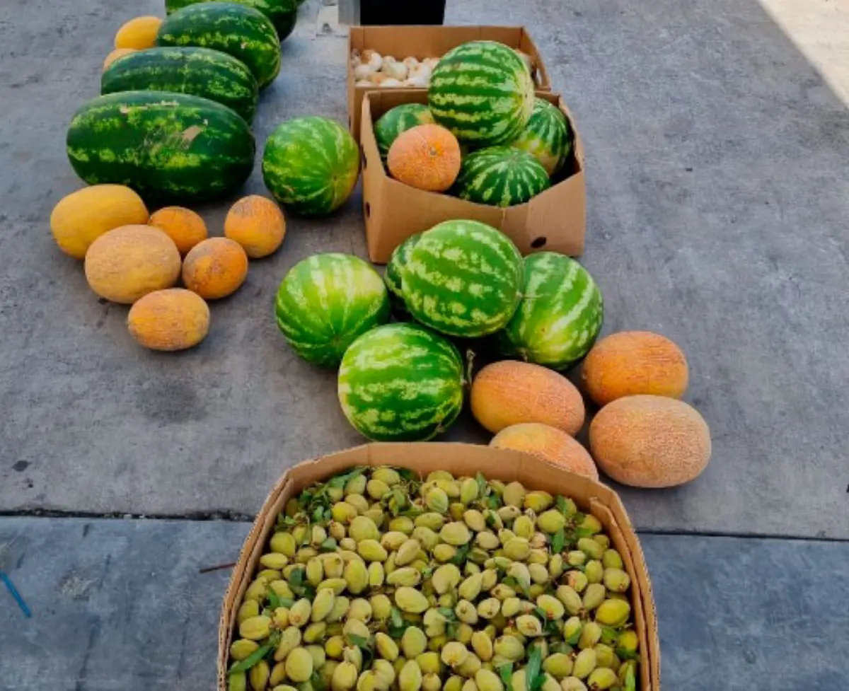 Derrate alimentari
