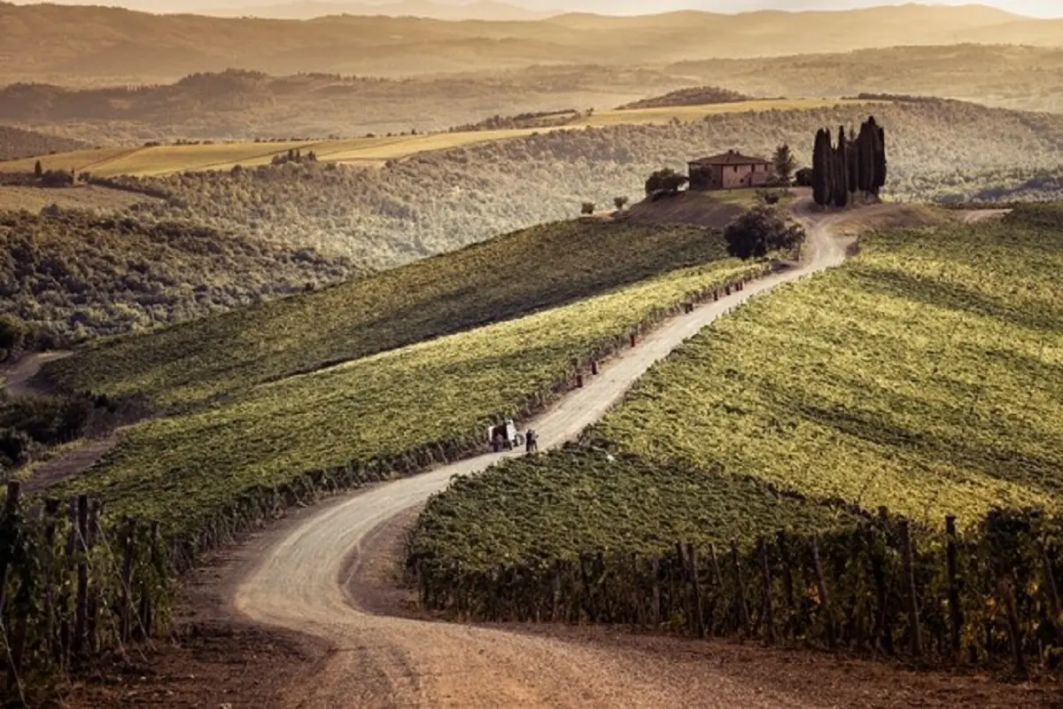 Castiglion del Bosco