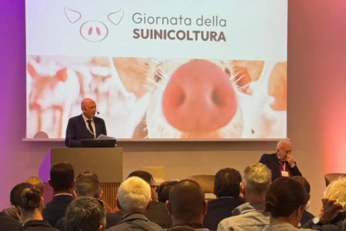 Giornata della Suinicoltura (Modena, 15 ottobre 2025)
