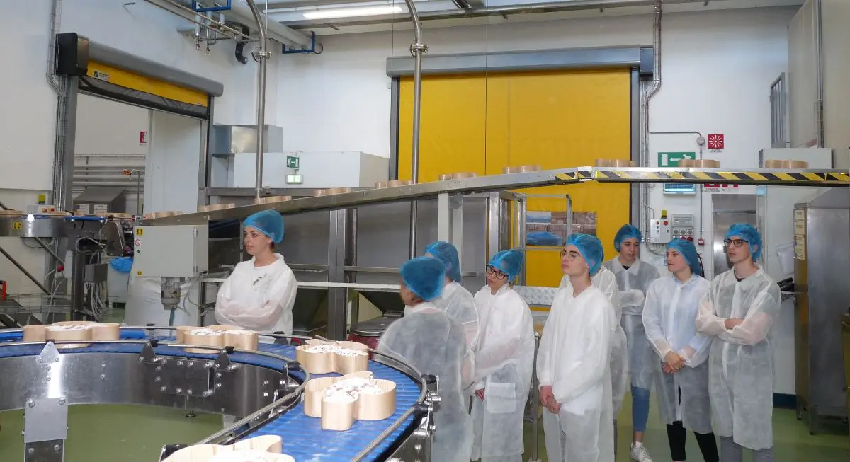 I ragazzi dell’Arte Bianca di Neive scoprono come avviene la produzione delle colombe Maina