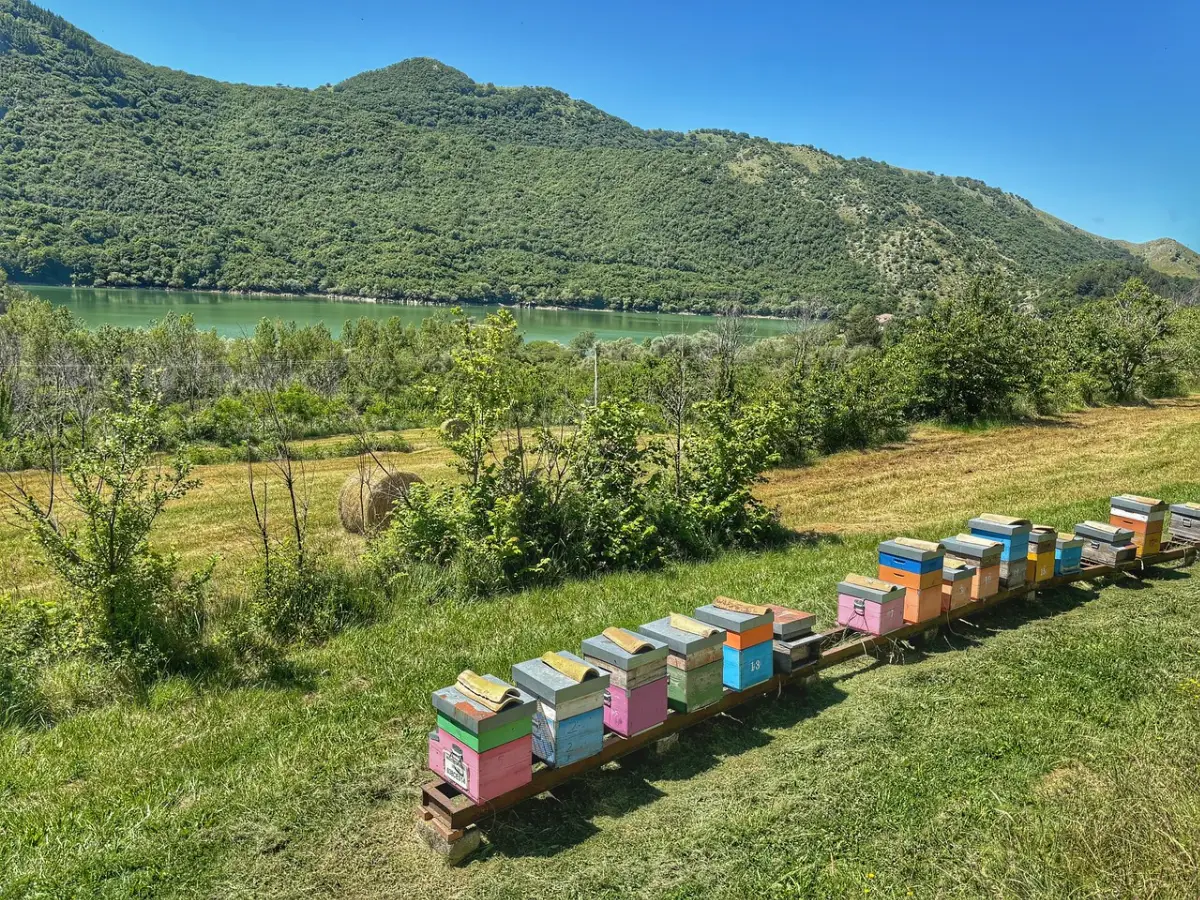 Mieli dei prati dei Monti del Matese nuovo presidio Slow Food