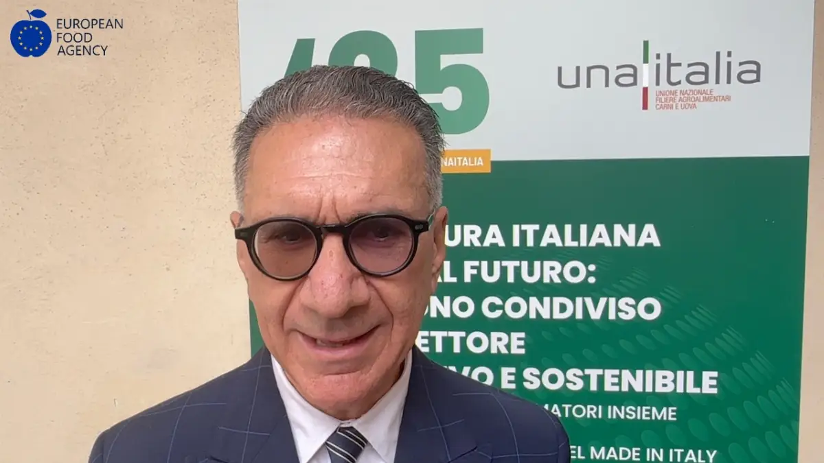 Antonio Forlini, presidente di Unaitalia