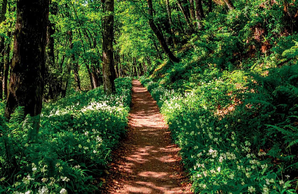 Strada del biologico e dei sapori della Val di Vara