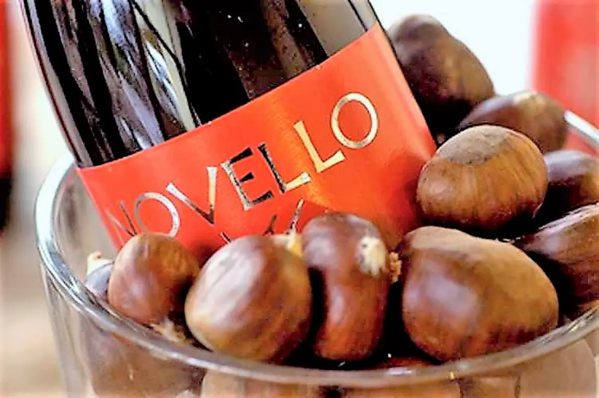 Vino Novello e castagne