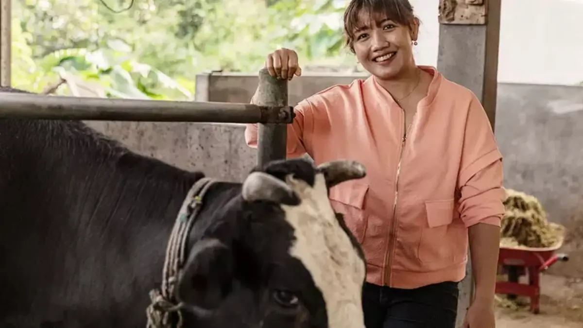Allevamento bovino in Asia