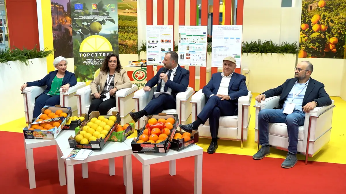 Progetto Top Citrus Macfrut