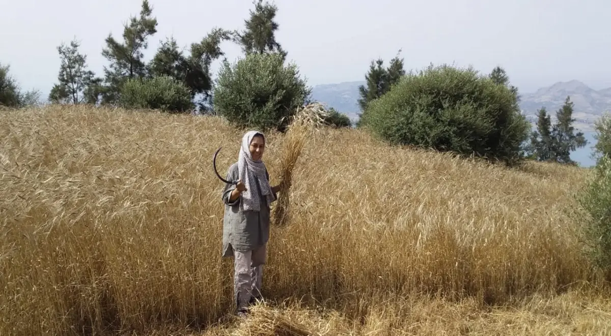 Agricoltori in Marocco
