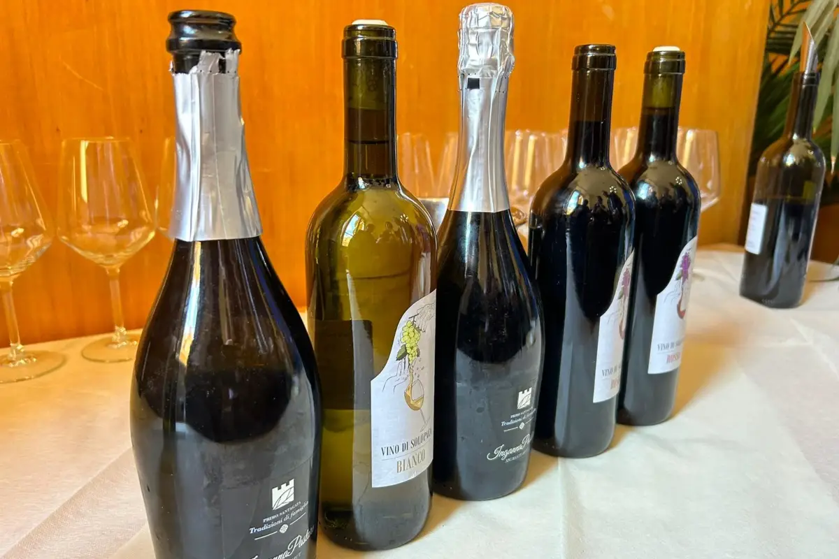 Bottiglie uve rare del Casertano