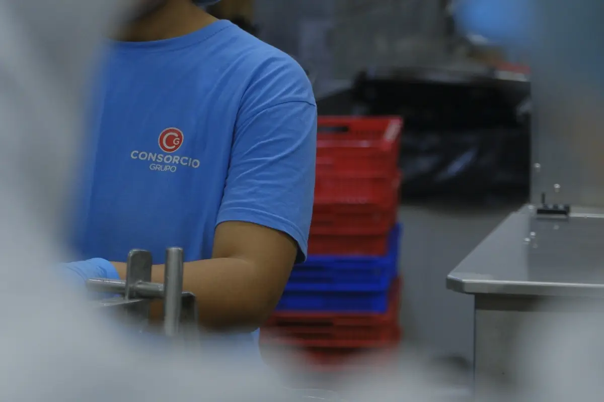 Unità produttiva Grupo Consorcio