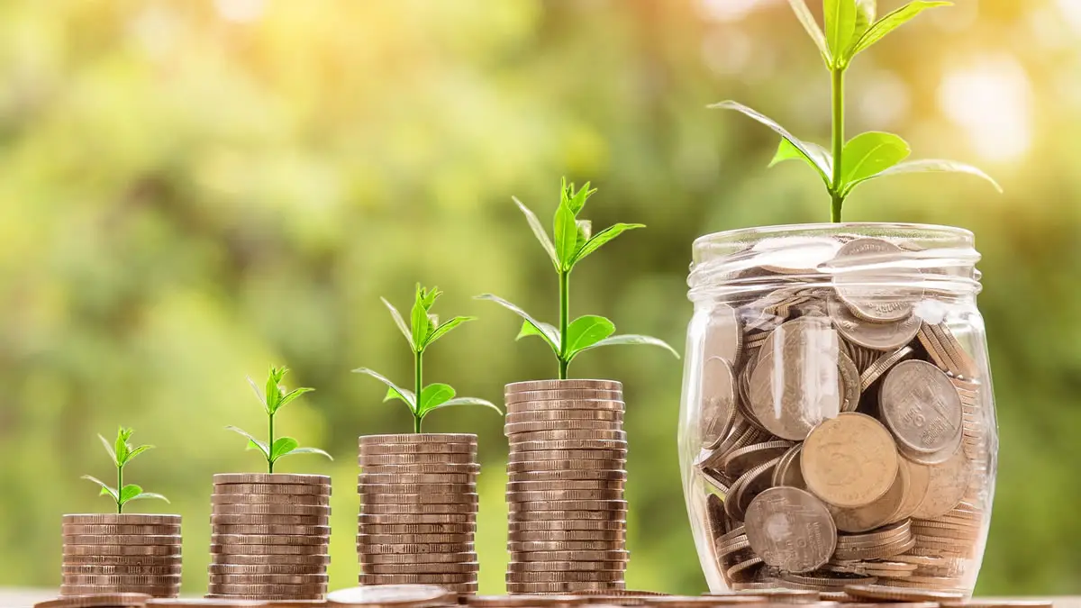 Finanziamenti all'agricoltura