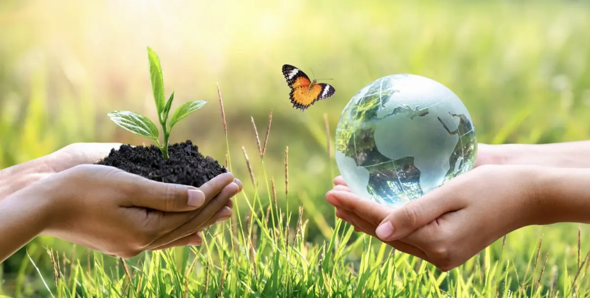 Kepos, nuova associazione terzo settore promossa da Confagricoltura e Assoverde