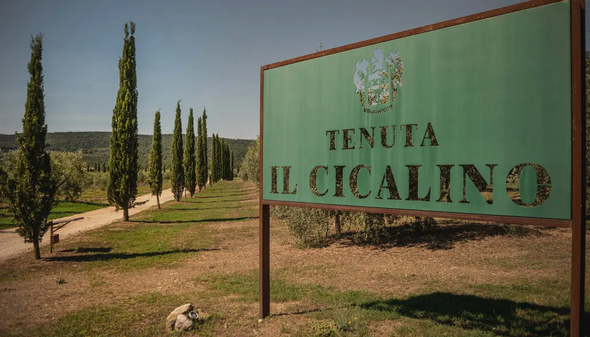 Tenuta Il Cicalino