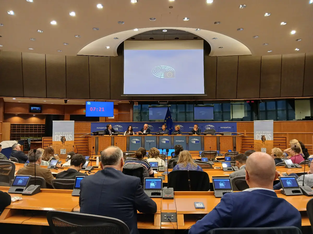 Presentazione film "World Without Cows". Bruxelles, Parlamento Europeo, 21/5/2025