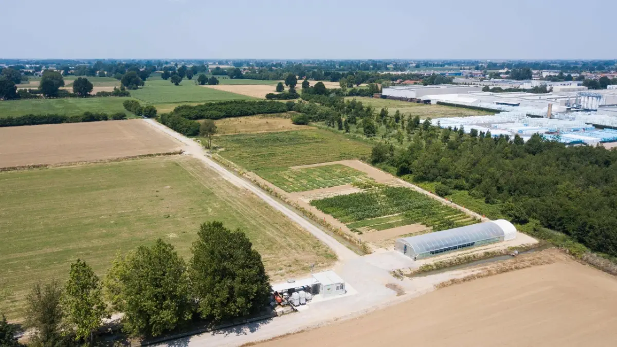 Stabilimento e campi MartinoRossi