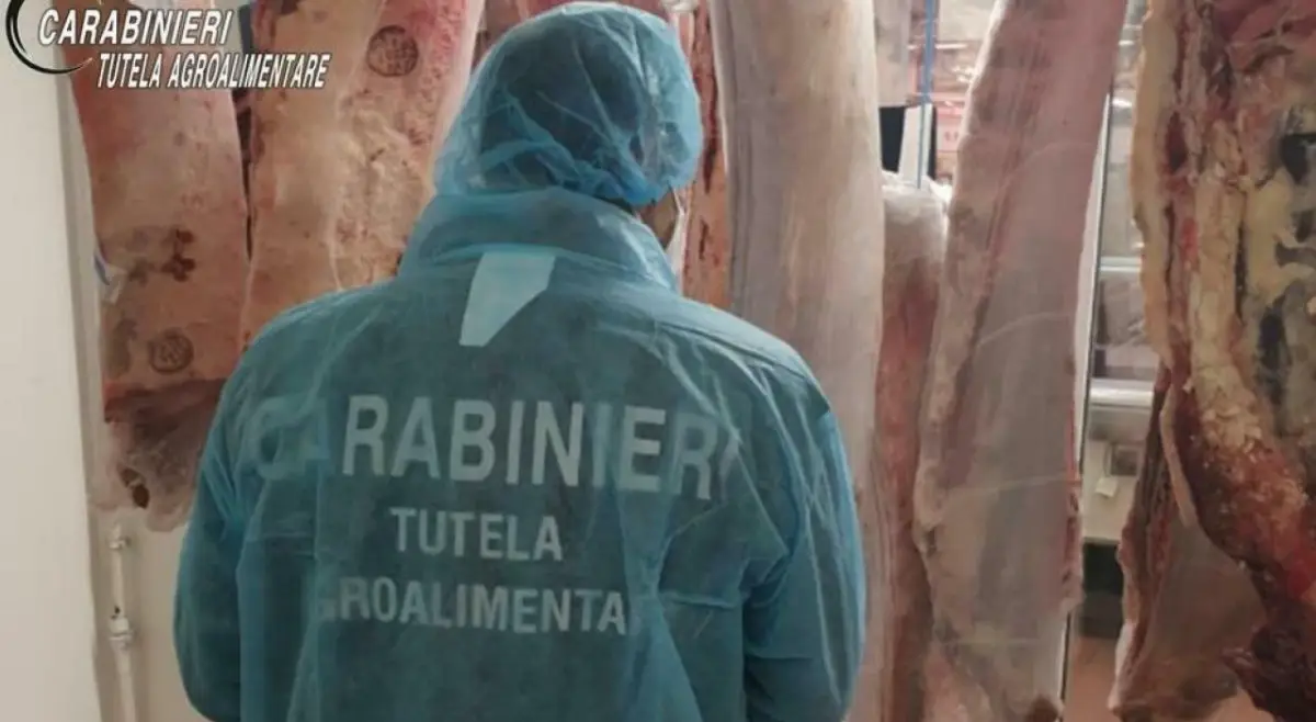 Controlli nei mattatoi a Frosinone: carne ovina (abbacchio) proveniente dalla Romania spacciata per italiana