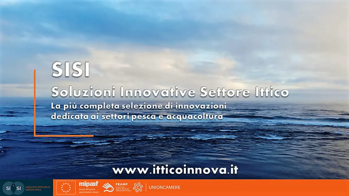 SiSi - Soluzioni Innovative nel Settore Ittico, portale nato su iniziativa del Mipaaf e Unioncamere per i settori ittico e acquacoltura