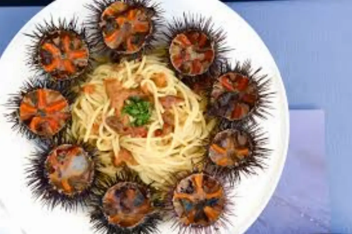 Spaghetti e ricci di mare