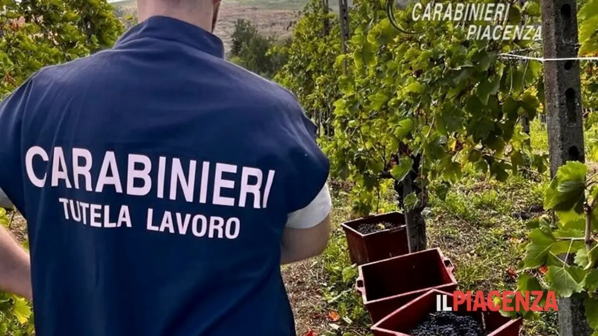 Ispettorato del Lavoro Piacenza