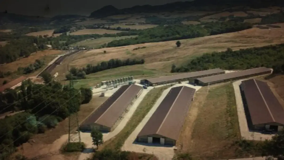 La zona su cui dovrebbe sorgere l'allevamento Fileni in Valmarecchia