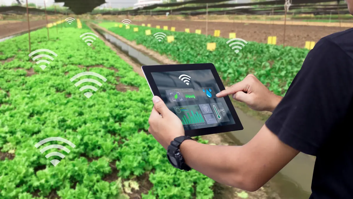 Progetto Agritech Ue "Agricoltura digitale per lo sviluppo sostenibile"