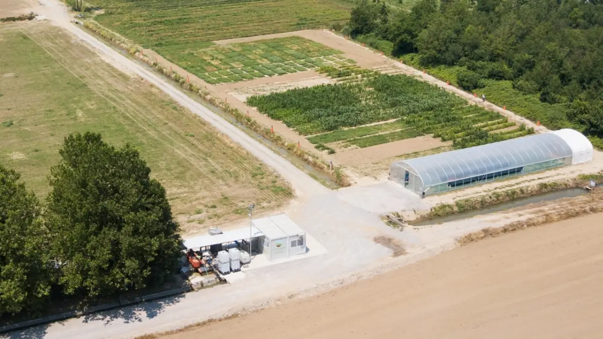 Agrifuture campi