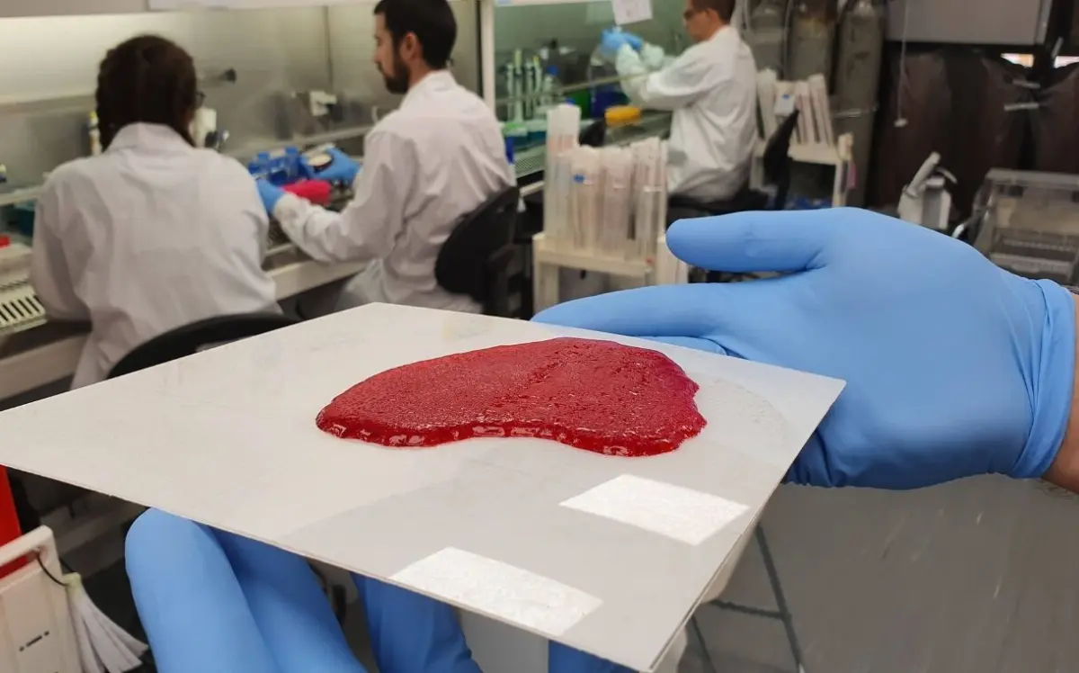 carne laboratorio
