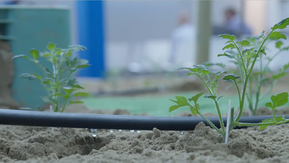 Acquacampus, Macfrut 2019