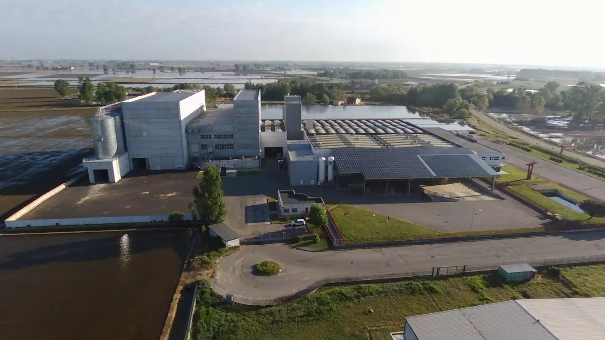 SP - stabilimento