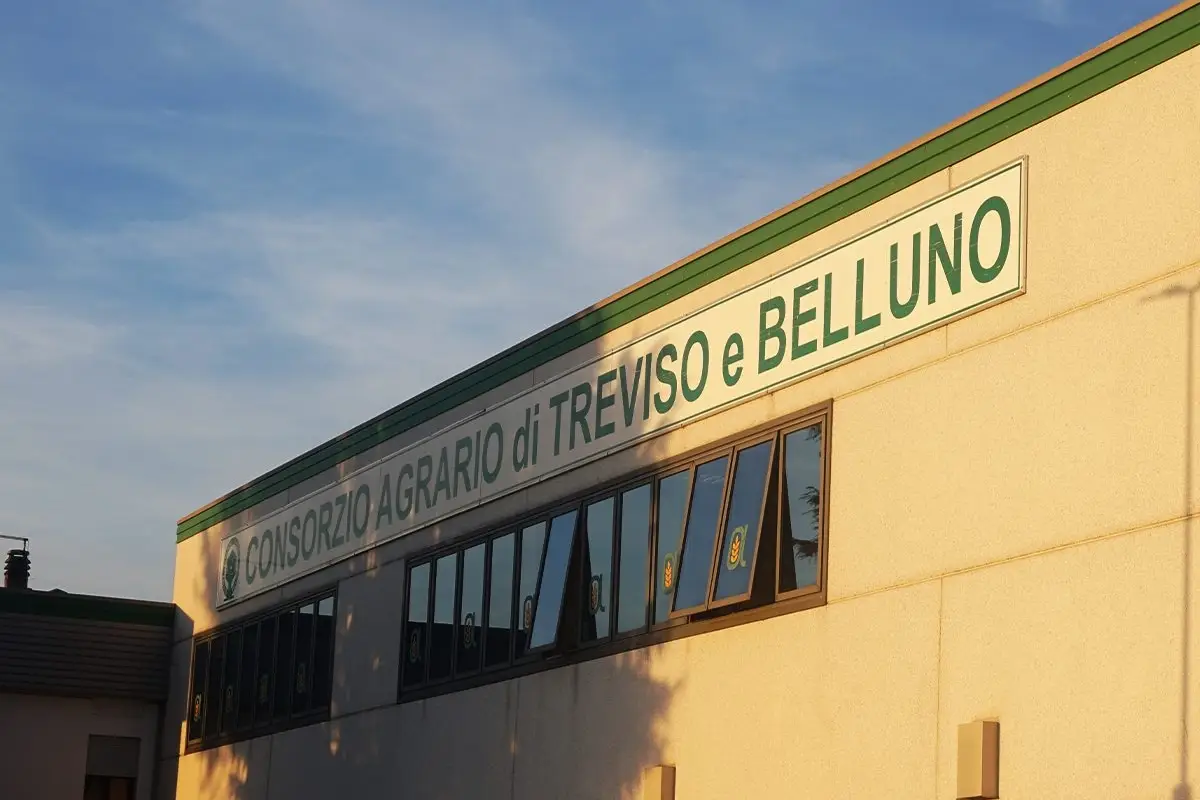 Consorzio Agrario di Treviso e Belluno