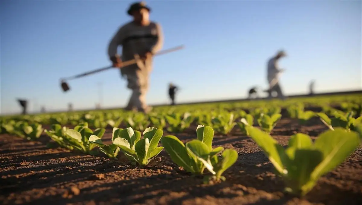 Federazione italiana impresa agricola familiare di Confagricoltura