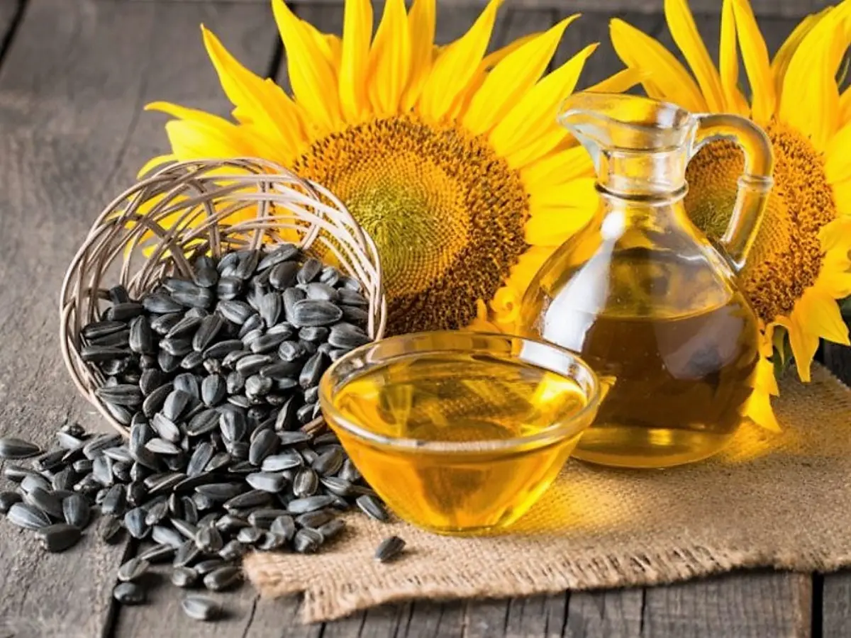 Olio di girasole