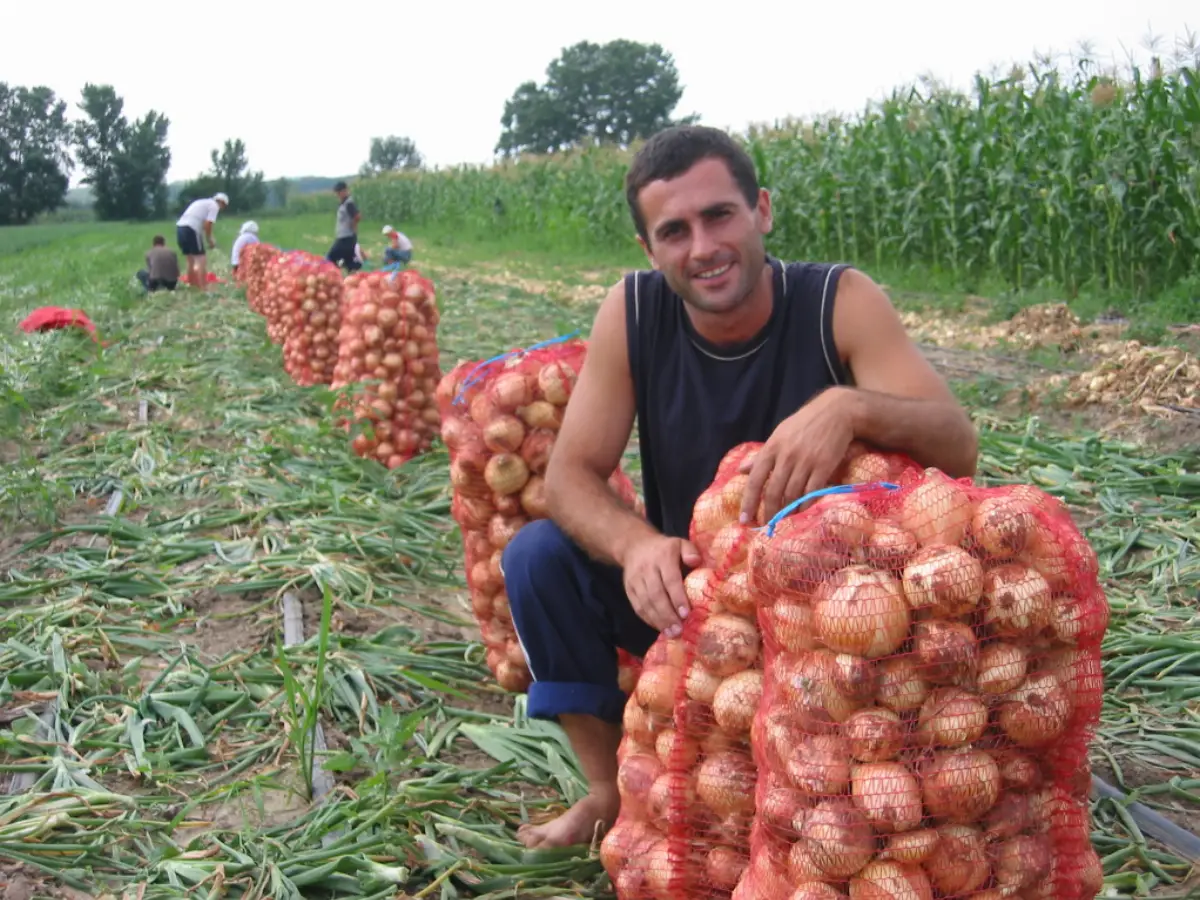 Agricoltura in Moldavia