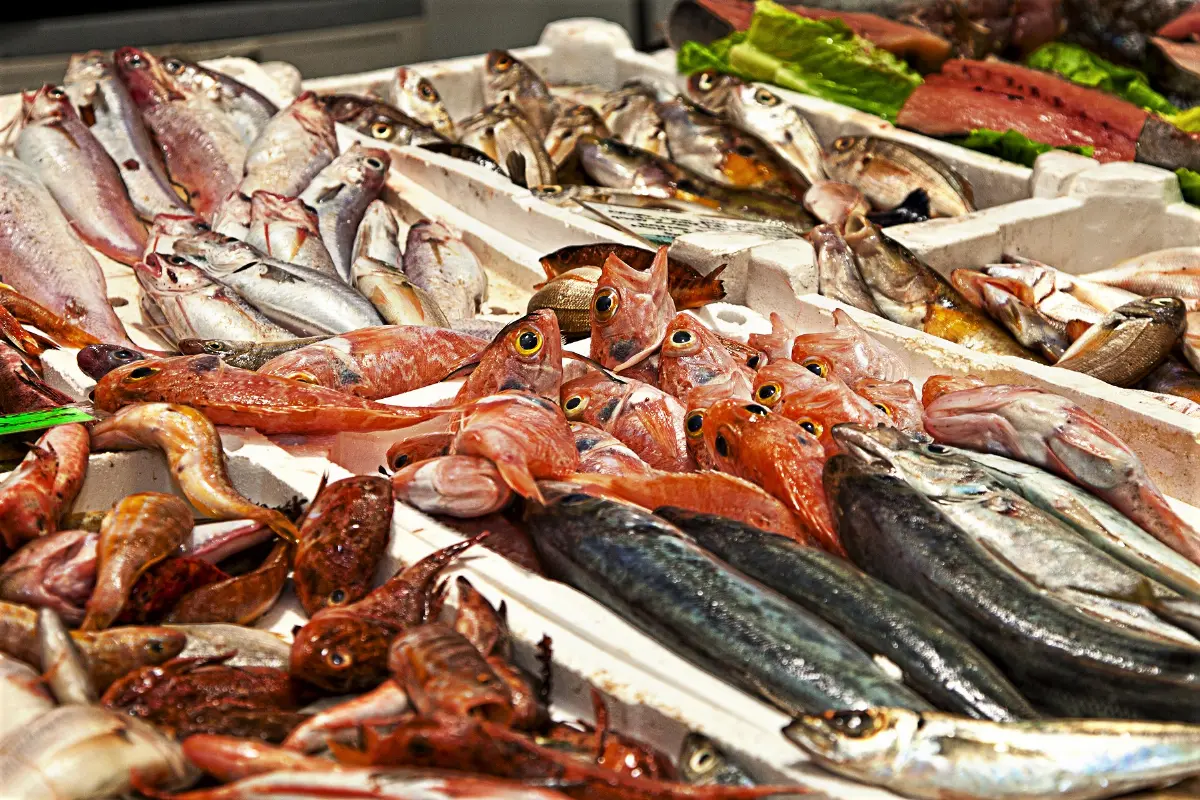 Pesce
