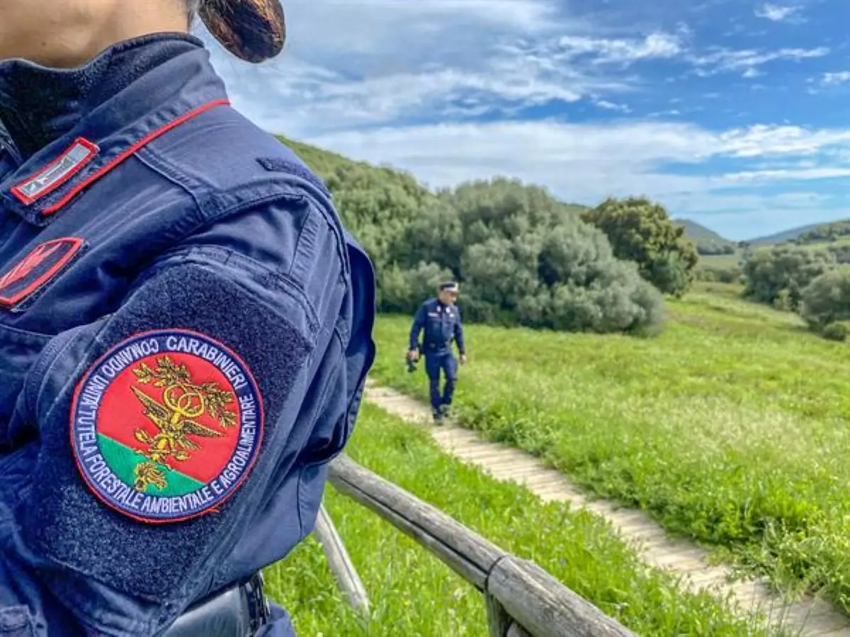 Nuovo concorso per Carabinieri difensori dell'ambiente