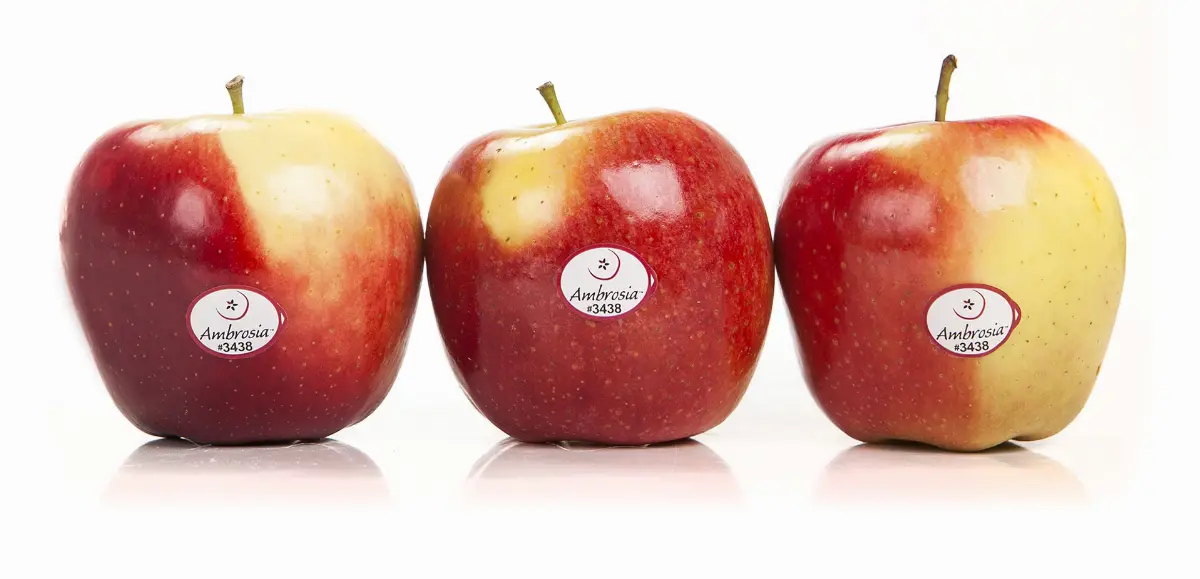 Mele varietà Ambrosia™