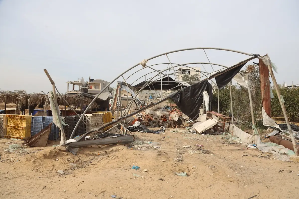 Gaza