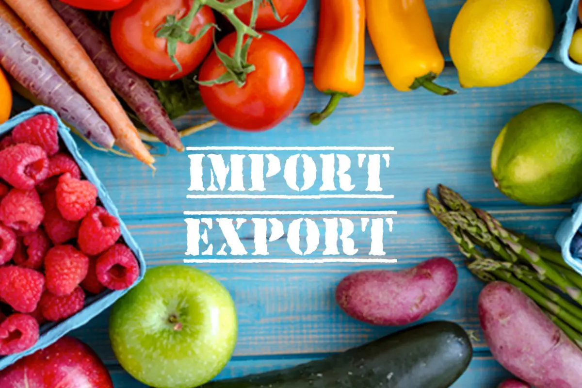 Export import agroalimentare