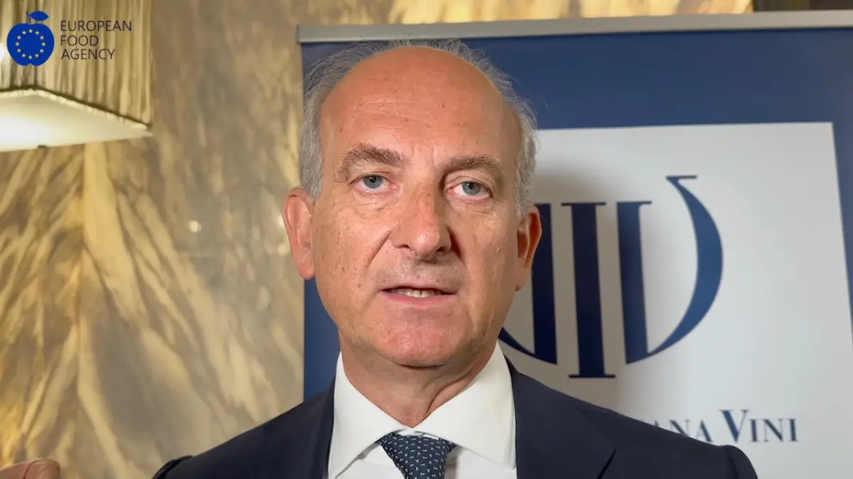 Lamberto Frescobaldi, presidente di Unione Italiana Vini (Uiv), intervistato da EFA News a margine dell'assemblea generale di Uiv (Roma, 11 luglio 2024)