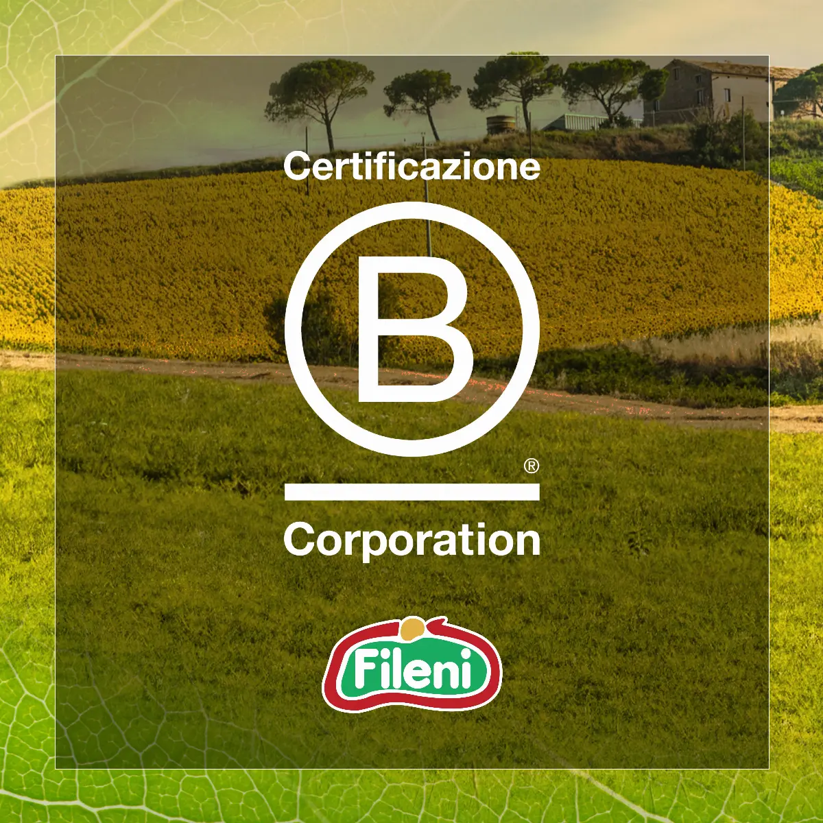 bcorp Fileni
