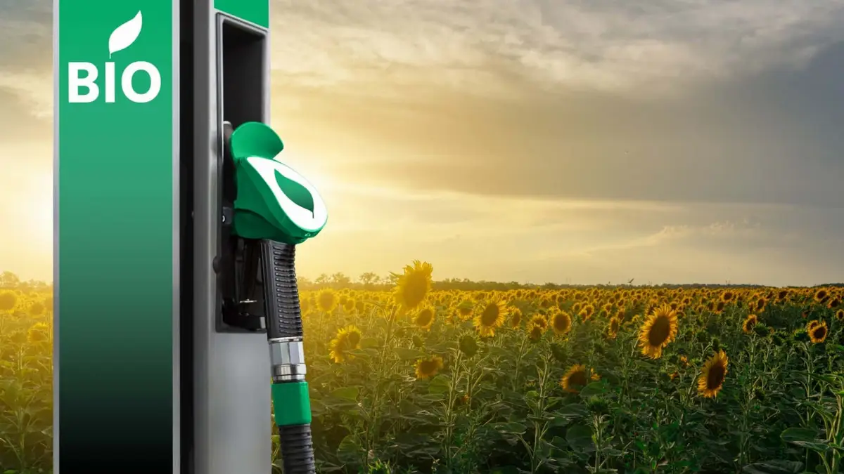 Biofuel, biocarburanti