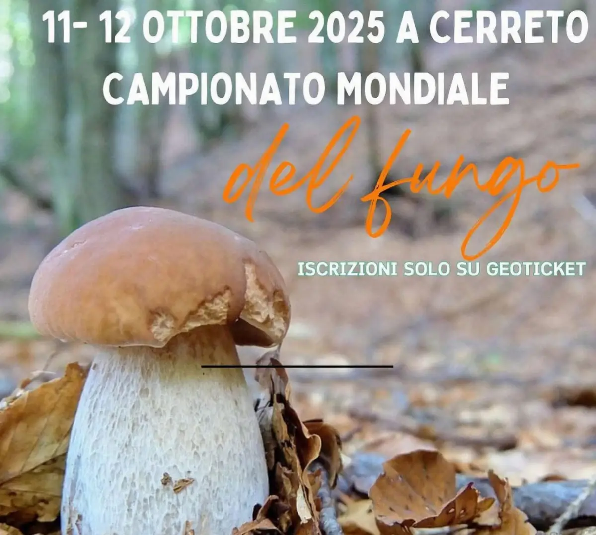11a edizione Cmpionato mondiale del fungo 2025
