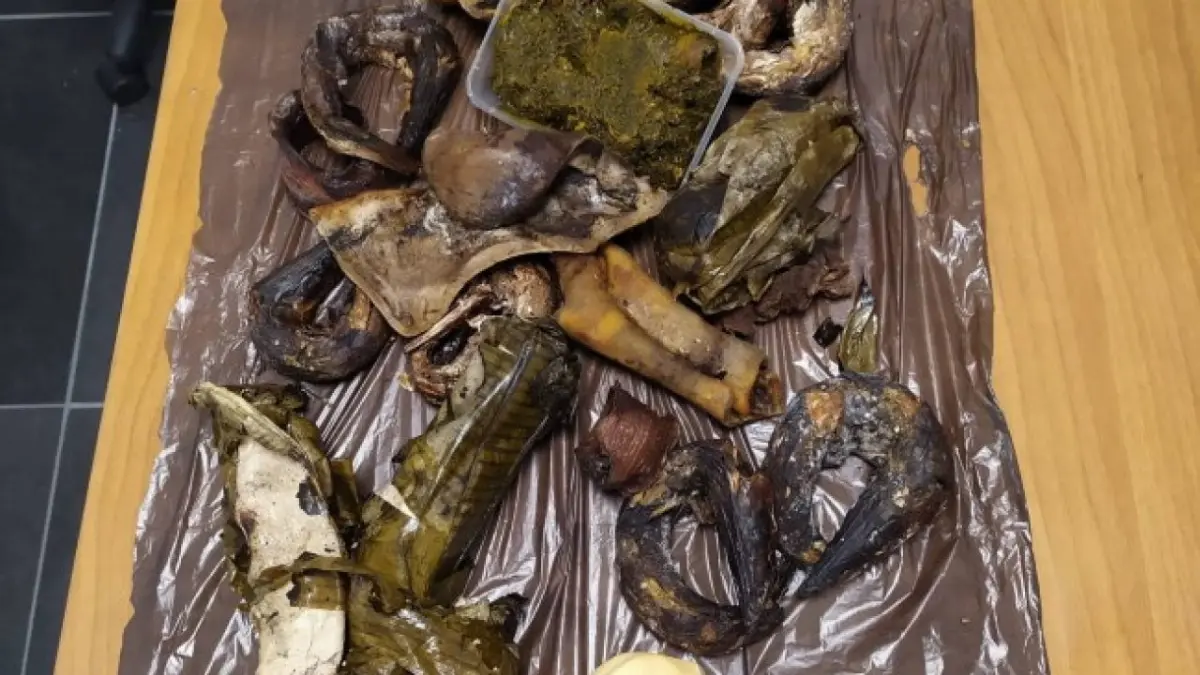 adm perugia, sequestro carne pesce perugia
