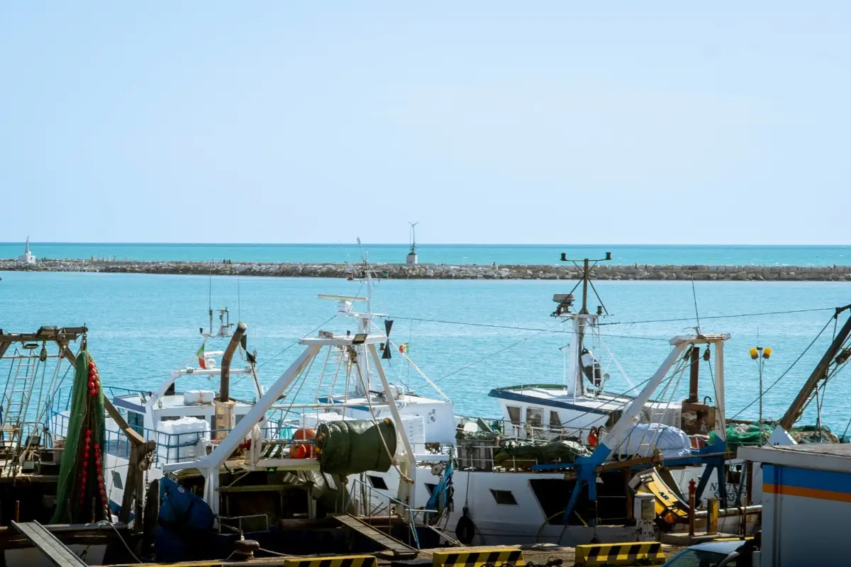 Pesca in area portuale