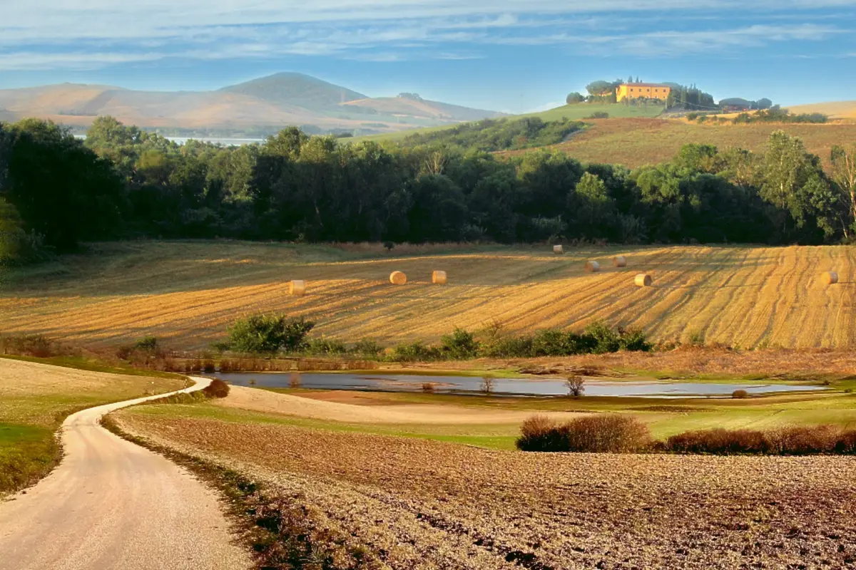 Colline toscane