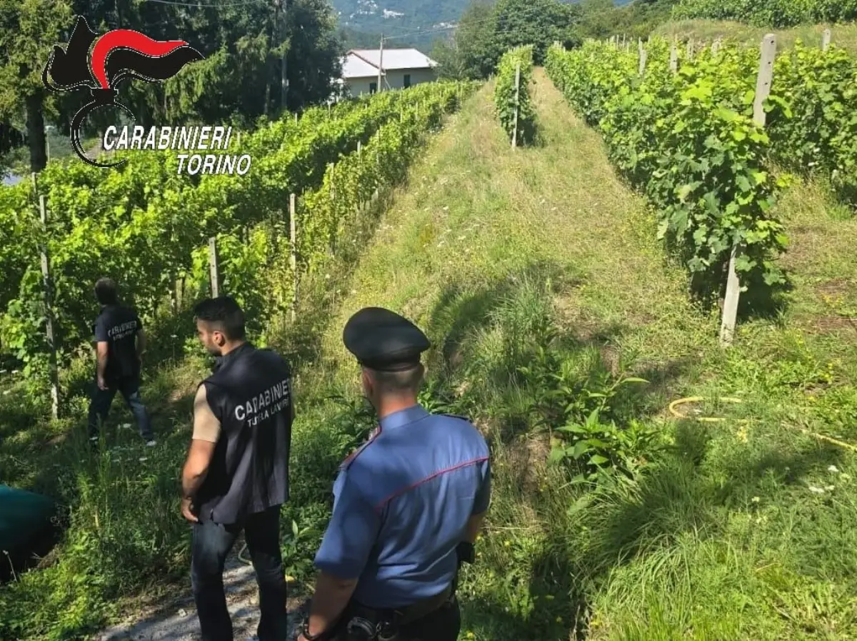 Controlli contro il caporalato Carabinieri Torino agosto 2025