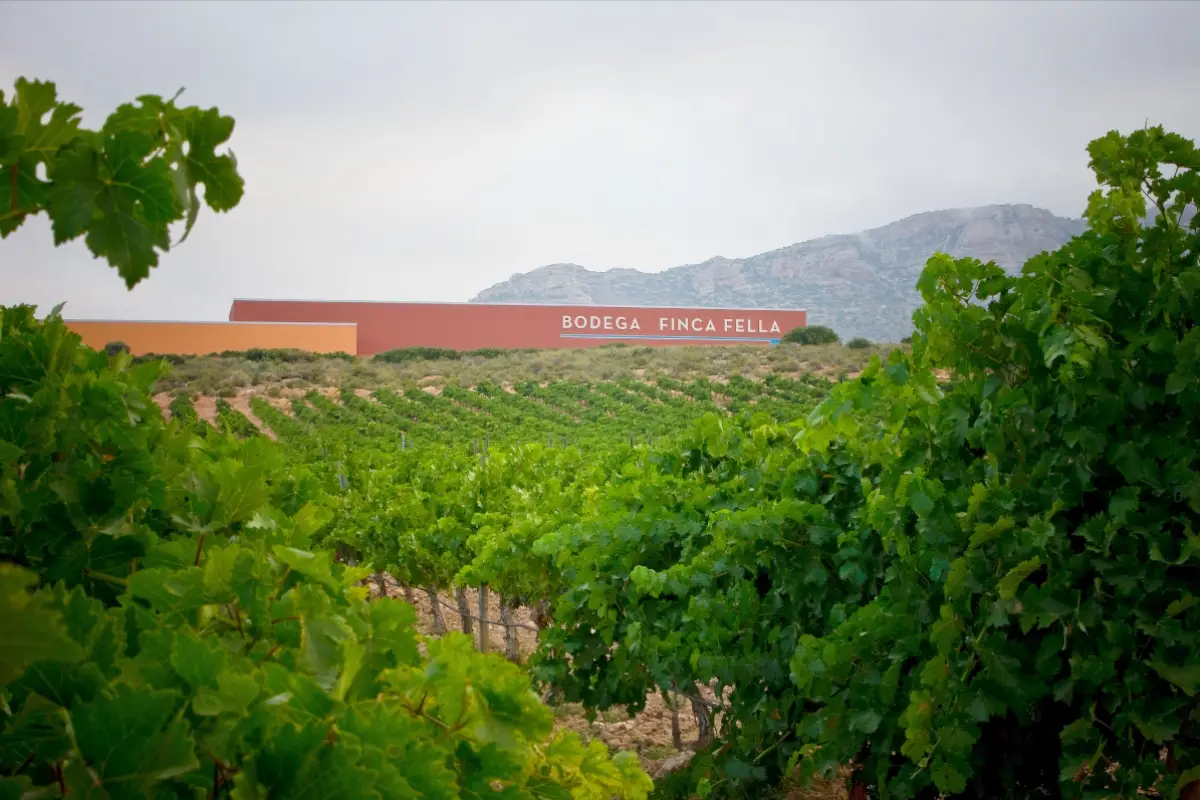 Cantina Finca Fella in Spagna