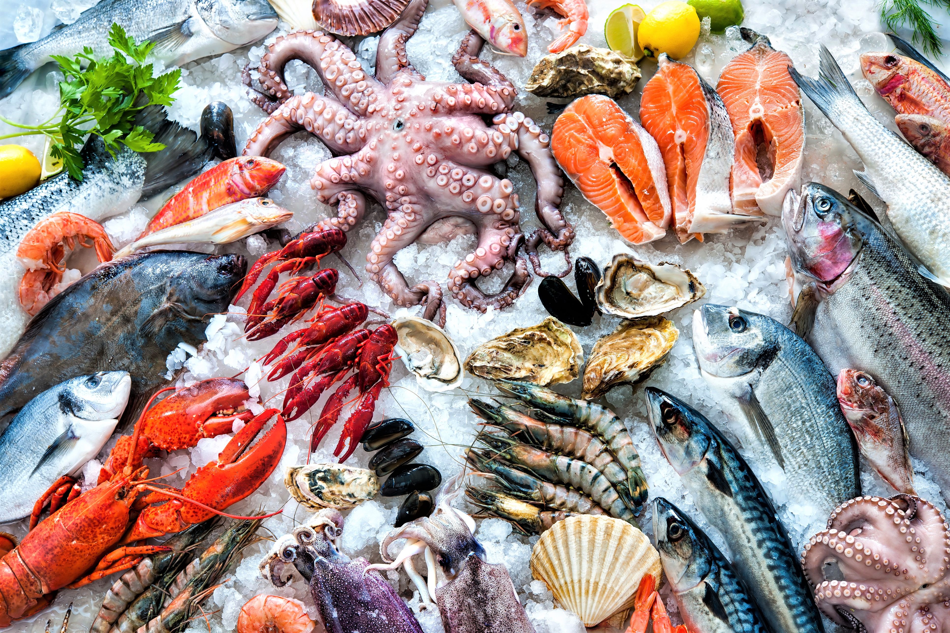 Meraviglie dal mare: gli originali spariranno a favore di prodotti ittici di laboratorio su base vegetale?