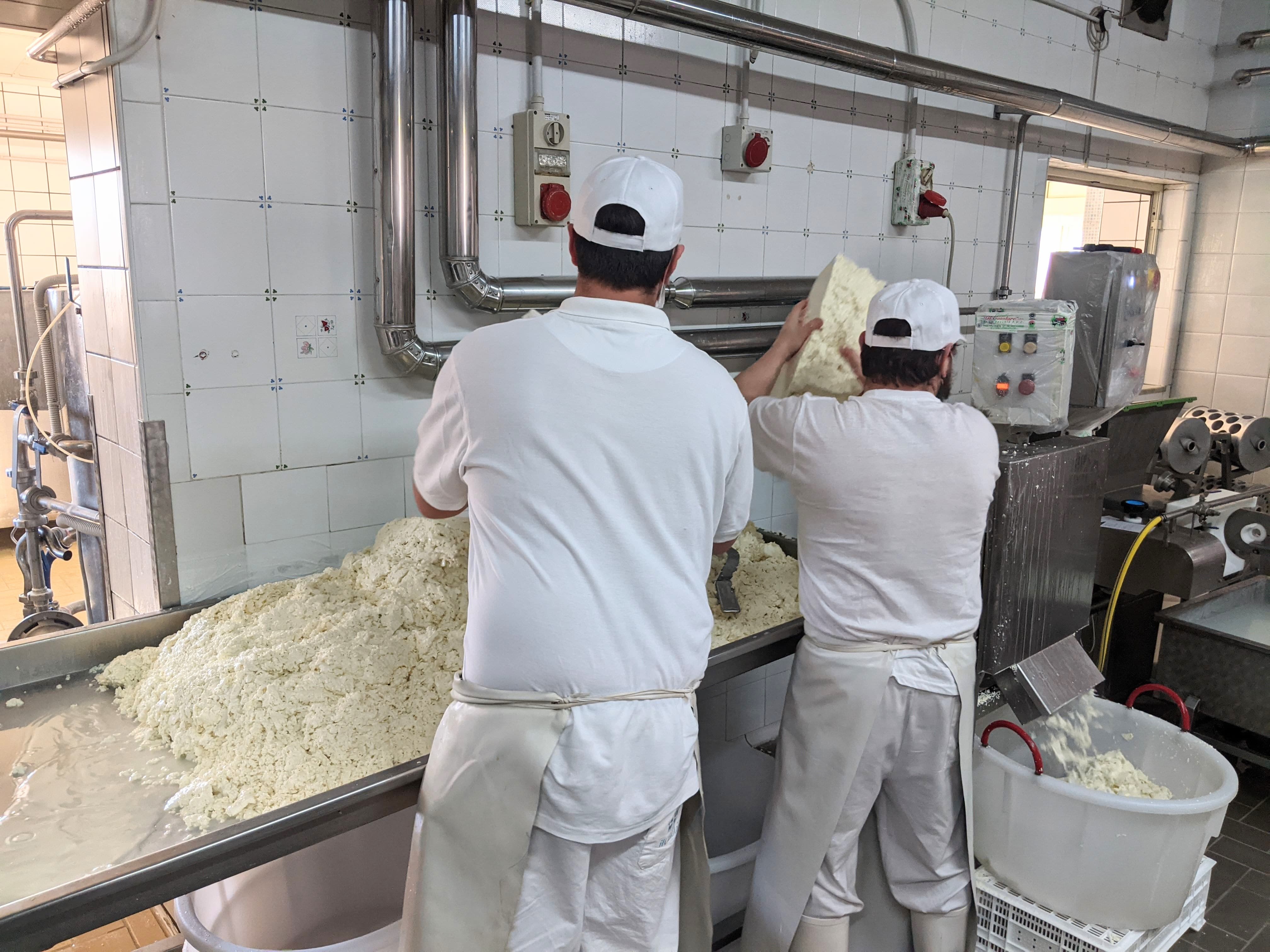 Produzione mozzarelle di bufala all'interno di uno dei casari appartenenti al Consorzio Tutela Mozzarella di Bufala Campana DOP
